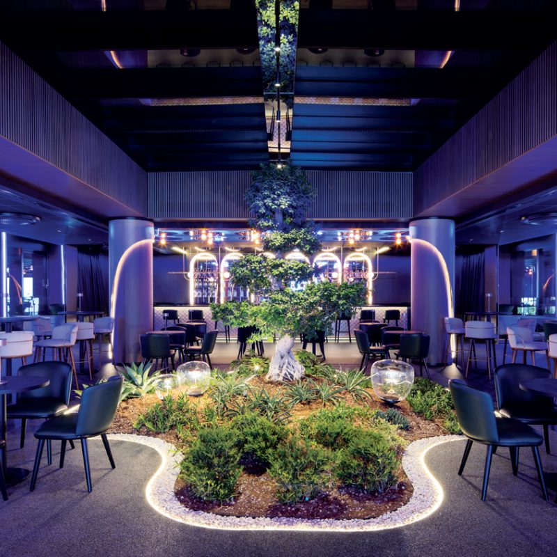 Sky Bonsai Bar
